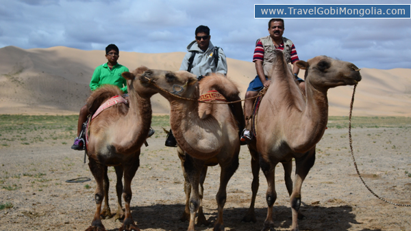 our customers are in Khongor Sand Dune