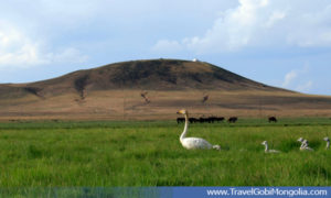 Altan Ovoo view