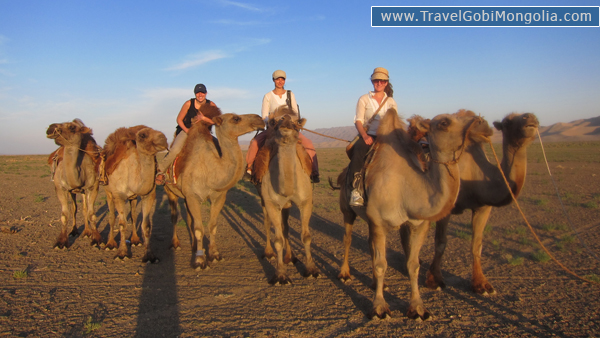 our 3 customers are on the camel in Khongor Sand Dune