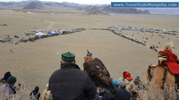 a khazakh man holding his eagle on horse in eagle festival