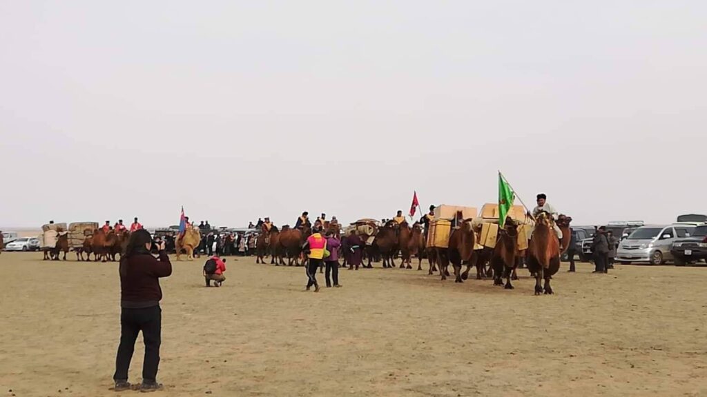 camel parade of camel festival in Gobi Desert