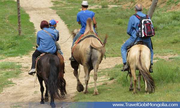 horse riding is in Terelj