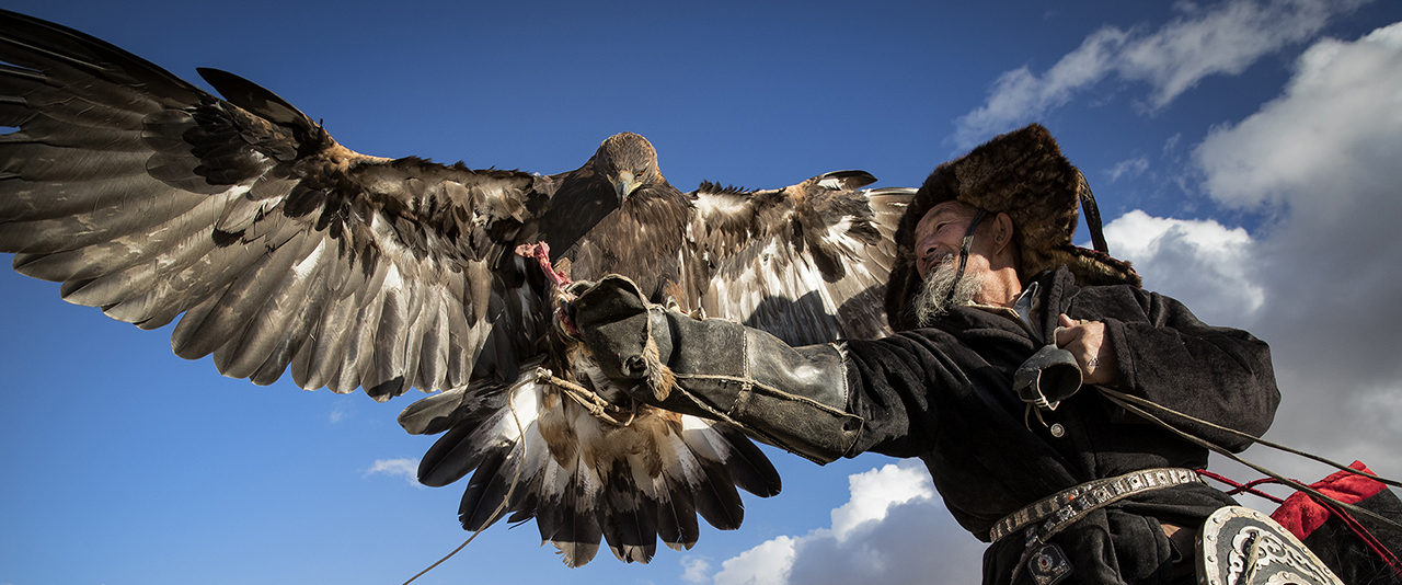 A Kazakh man holding his golden eagle on his hand