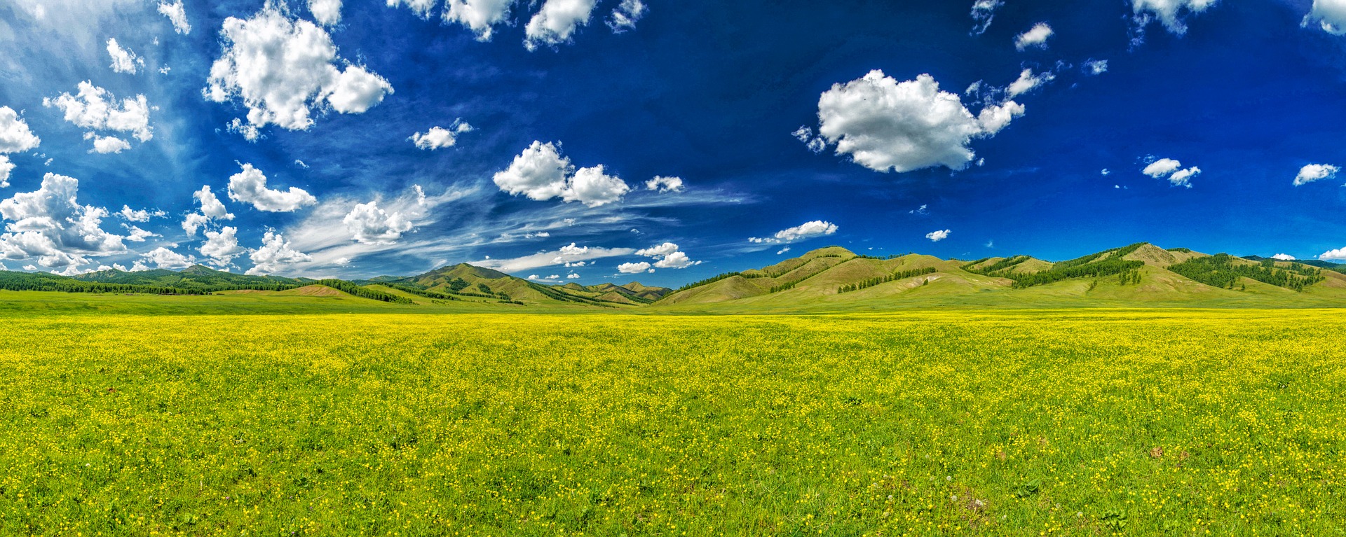 Nature of the central part of Mongolia
