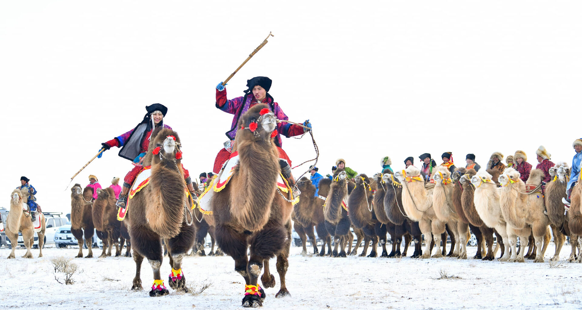 Mongolia winter camel festival