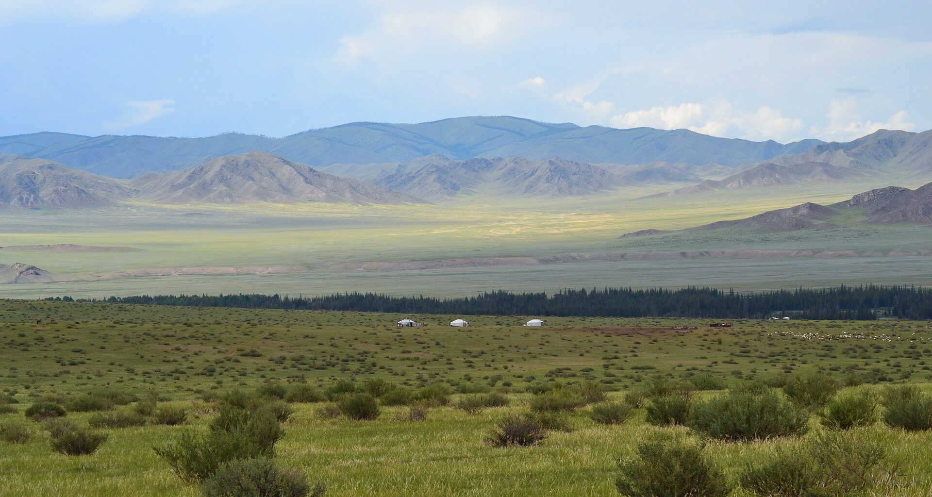 West Mongolian nature