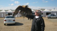 A customer from USA takes a photo with an eagle