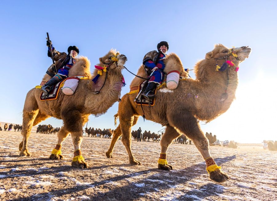 Camel ride in Mongolia winter