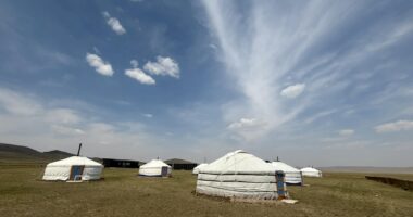 Taliin Tumen Aduu camp