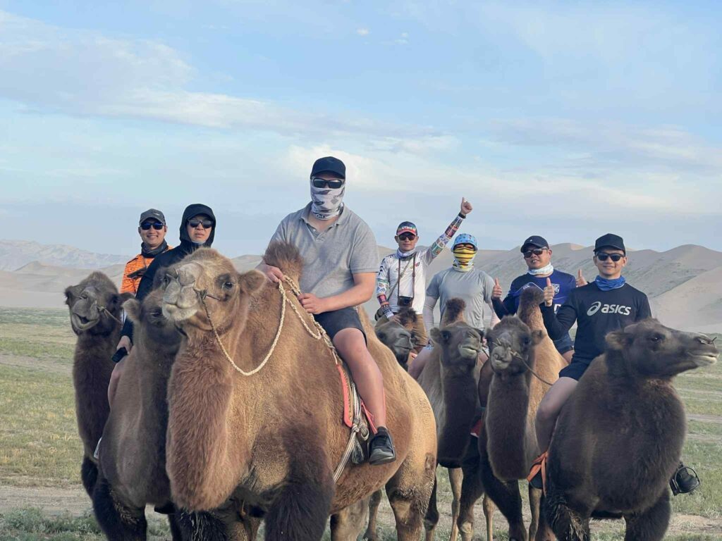 our customers are riding camels in Khongor Sand Dune