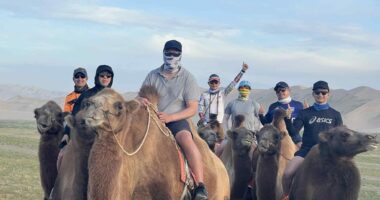 our customers are riding camels in Khongor Sand Dune