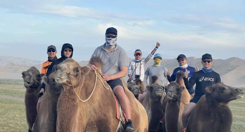 our customers are riding camels in Khongor Sand Dune