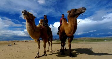 our customers are riding camels at Elsen Tasarkhai Sands