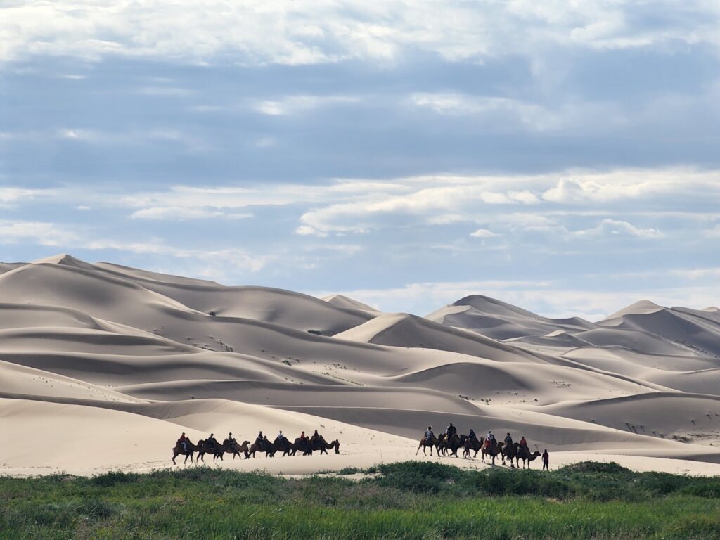 Our customers are riding camels on the Khongor Sand Dunes