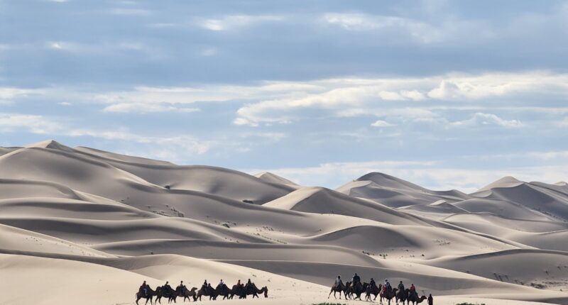 Our customers are riding camels on the Khongor Sand Dunes